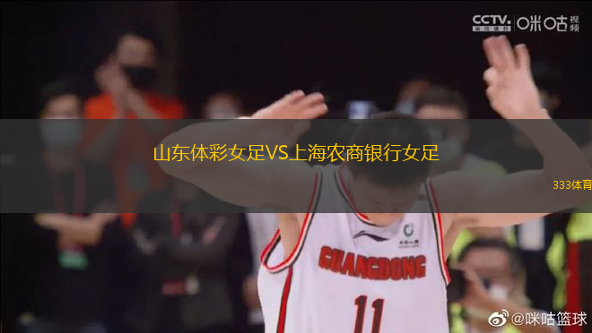 山东体彩女足VS上海农商银行女足